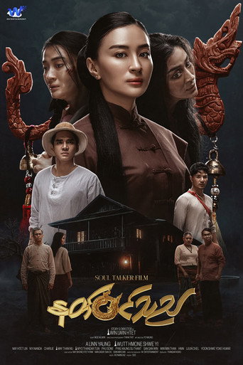 Movie poster for Nat Win The (2025)