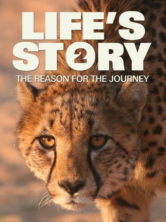 Movie poster for Life's Story 2: The Reason For The Journey