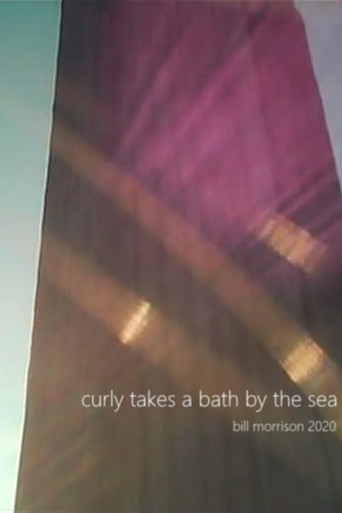 Movie poster for Curly Takes a Bath by the Sea (2020)