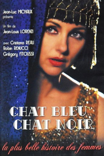 Chat bleu, chat noir poster