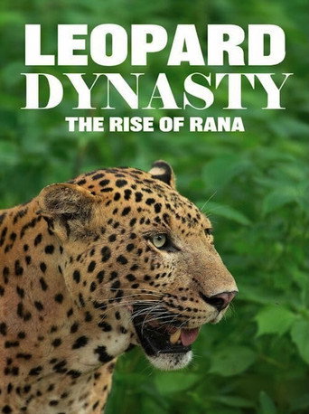 Movie poster for Leopard Dynasty – The Rise of Rana (2025)