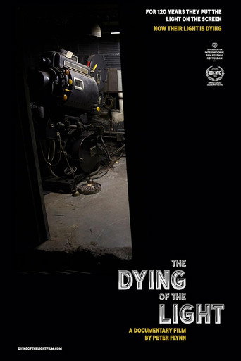 Movie poster for The Dying of the Light (2015)