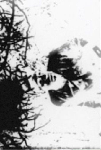 Speaking in Tongues: Take One poster