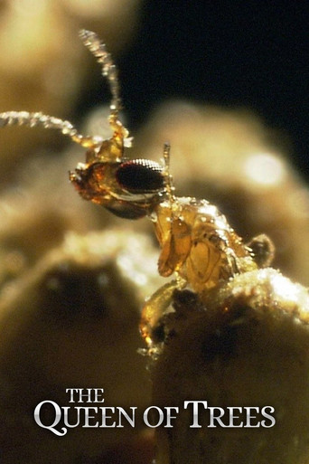 The Queen of Trees poster