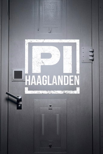 Series poster for P.I. Haaglanden (2025)