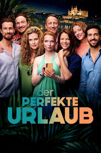 Movie poster for The Perfect Holiday (2026)