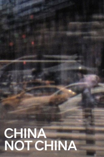 Movie poster for China Not China (2018)