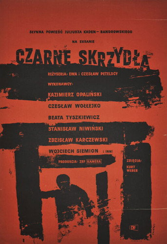 Czarne skrzydła poster