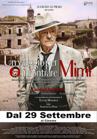 Un viaggio per incontrare Mimì poster