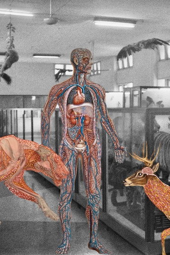 Movie poster for Myanmar Anatomy (2024)