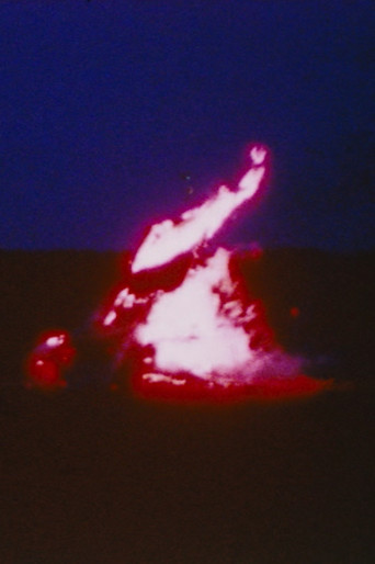 Movie poster for VRFLM (1994)