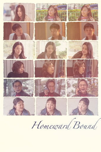 Homeward Bound poster