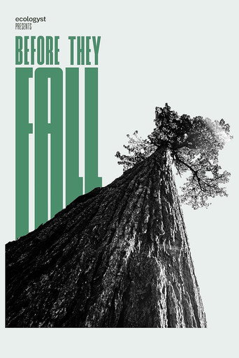 Movie poster for Before They Fall (2021)