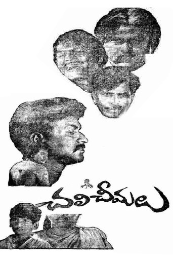 Movie poster for Chali Cheemalu (1978)