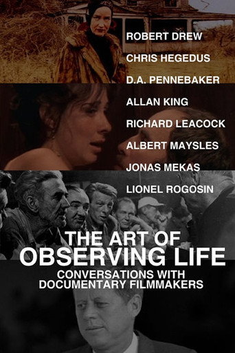 Movie poster for The Art of Observing Life (2013)