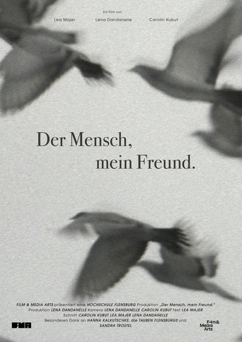 Movie poster for We Used to Be Friends. (2024)