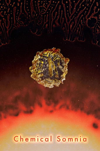 Chemical Somnia poster