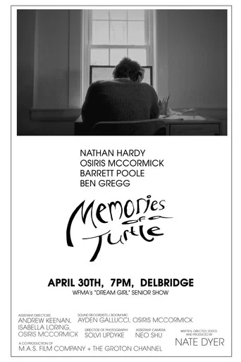 Movie poster for Memories of a Turtle (2026)