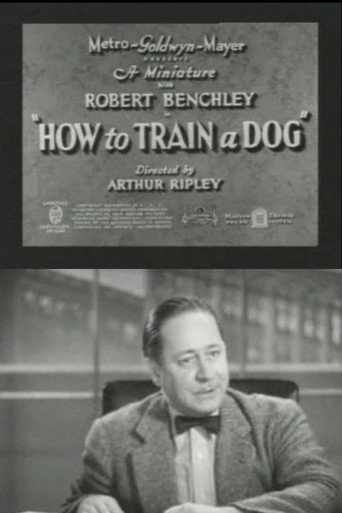 Movie poster for How to Train a Dog (1936)