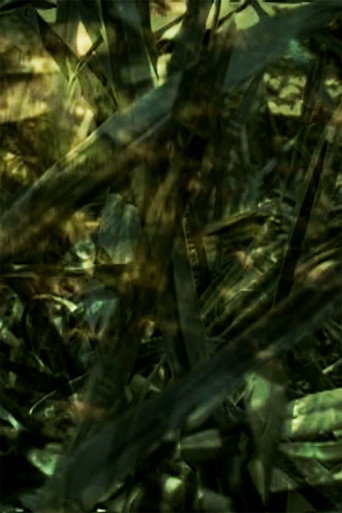 Movie poster for Reprieve (2007)