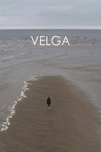 Velga poster