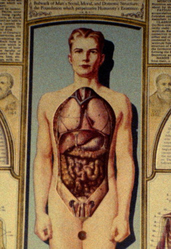Movie poster for Natural History (1989)