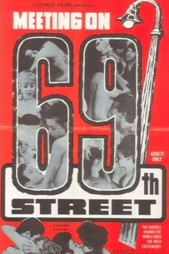 Movie poster for Meeting on 69th Street (1969)