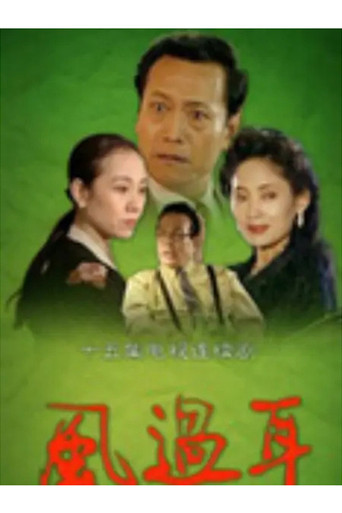 Series poster for 风过耳 (1994)