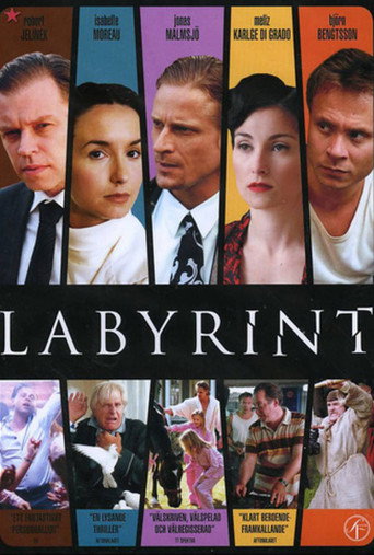 Series poster for Labyrint (2007)