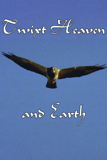 Movie poster for Twixt Heaven and Earth (1998)