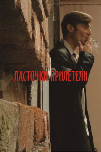 Movie poster for Swallows Have Arrived (2007)
