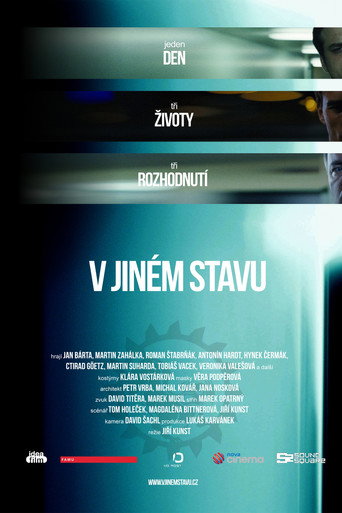 Movie poster for V jiném stavu (2016)