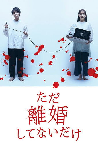 We Are Just Not Divorced poster