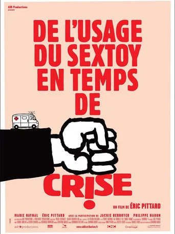 Movie poster for De l'usage du sex toy en temps de crise (2013)