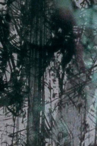 Movie poster for Surfacing (2004)