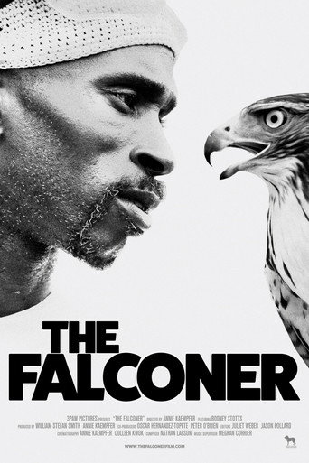 Movie poster for The Falconer (2020)