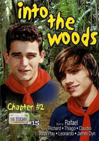 Movie poster for 18 Today International 15: Into the Woods 2 (2004)