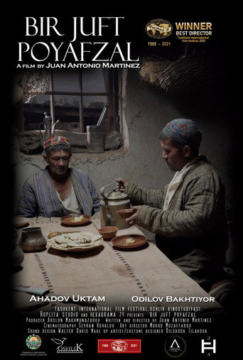 Movie poster for Pair of Shoes (2023)