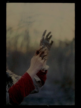 Movie poster for We Become a Field of Flowers