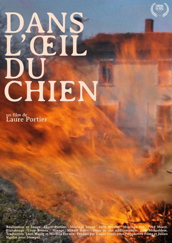 Movie poster for Dans l'oeil du chien (2019)