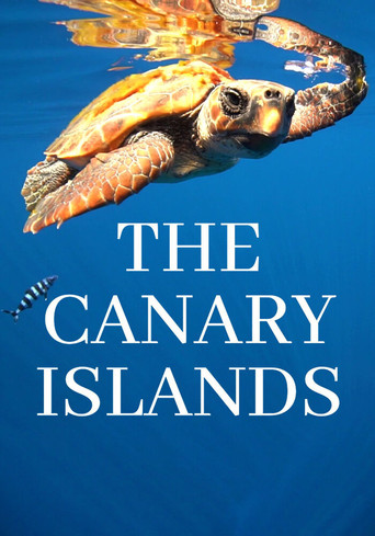 The Canary Islands poster