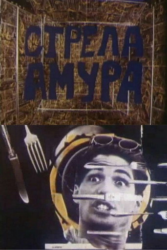Movie poster for Cupid's Arrow (1993)
