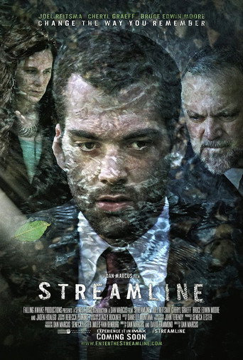 Movie poster for Streamline (2014)