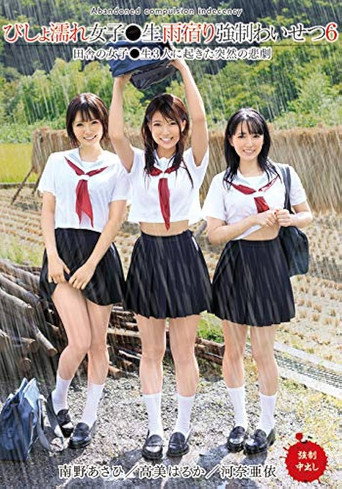 Movie poster for Drenched School Girl Shelter From Rain Convinced To Get Raunchy 6 (2020)