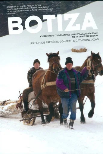 Movie poster for Botiza (2013)