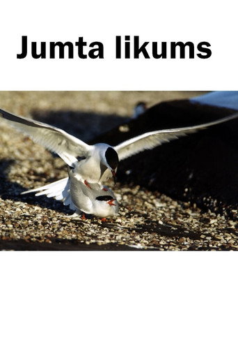 Roof on the Moonway poster