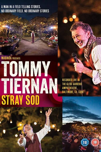 Movie poster for Tommy Tiernan Stray Sod (2014)