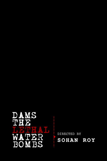 Movie poster for Dams: The Lethal Water Bombs (2011)