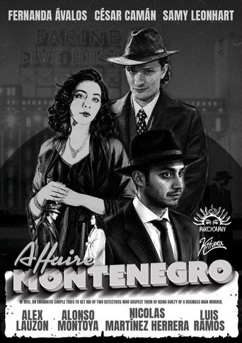 Movie poster for The Montenegro Affair