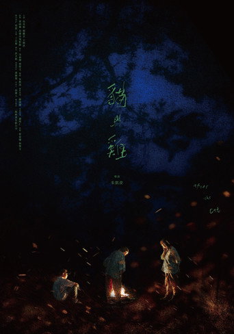After the Cat poster